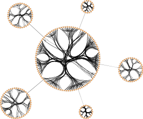 layout circular edgebundling bcc compact